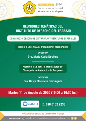 REUNIONES TEMATICAS